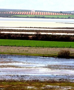 Lagune de Cantaras