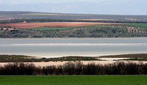 Lagune de Cantarranas